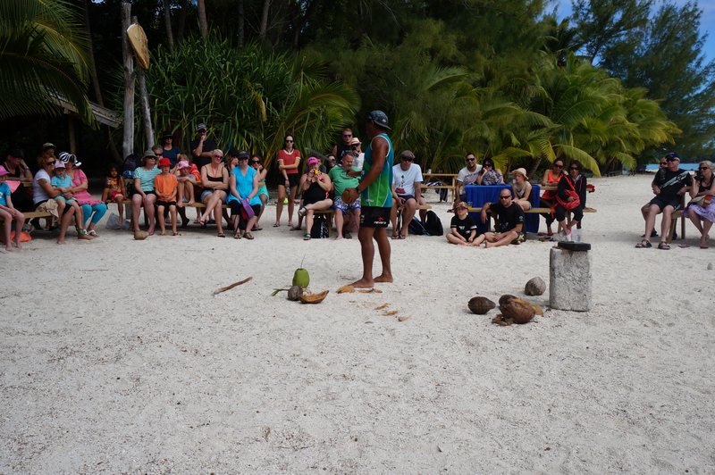show coconuts opening rarotonga cook island