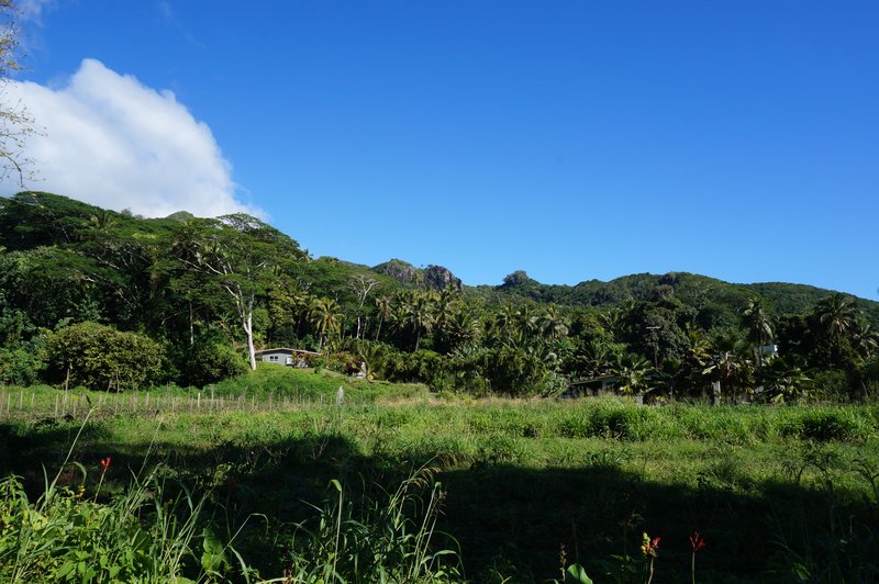 landscape rarotonga cook island