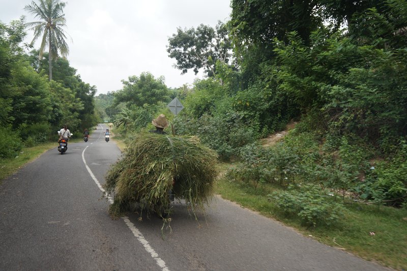 motorbike road trip