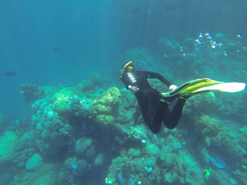 great barrier reef