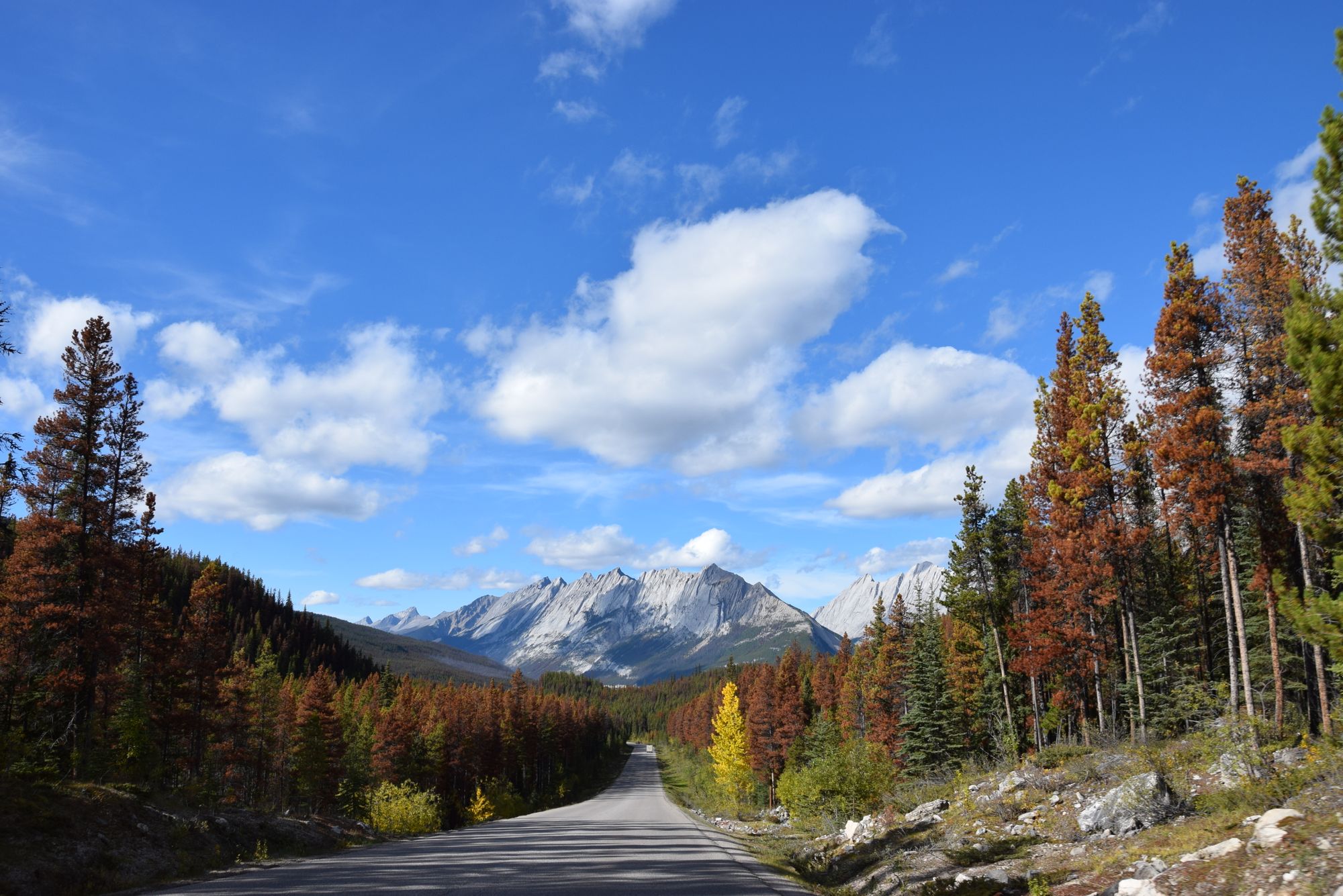 Canadian Rockies (in pictures)