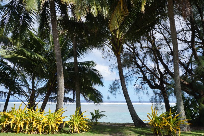 landscape rarotonga cook island