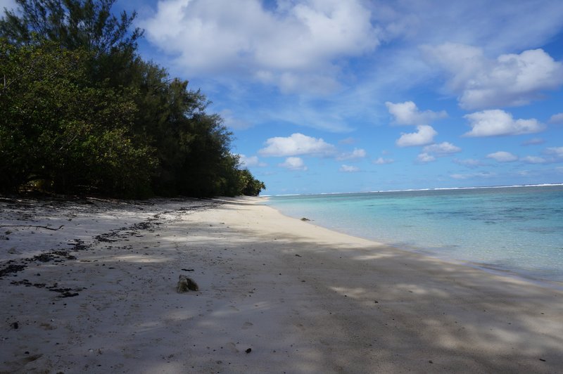 landscape rarotonga cook island